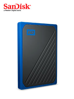 my passport go ssd 1tb