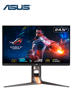 MON 25 AS PG259QNR FHD 1M 365H