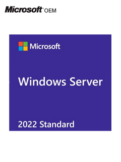WINDOWS SVR STD 2022 64BIT SPA